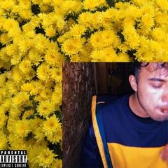 :(750li): (prod. glumboy)