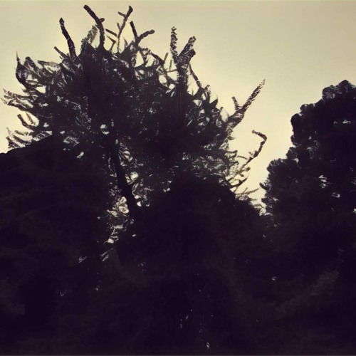 A Brief Period of Madness | Eight Part Orchestra Op.1, No.6 Moderato C#m