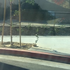 i'll end up back to you