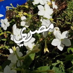 اه يمال على حاله