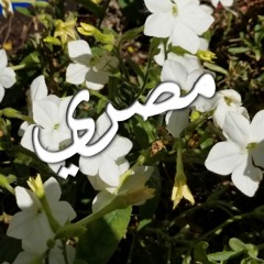 مش هنسى الليله