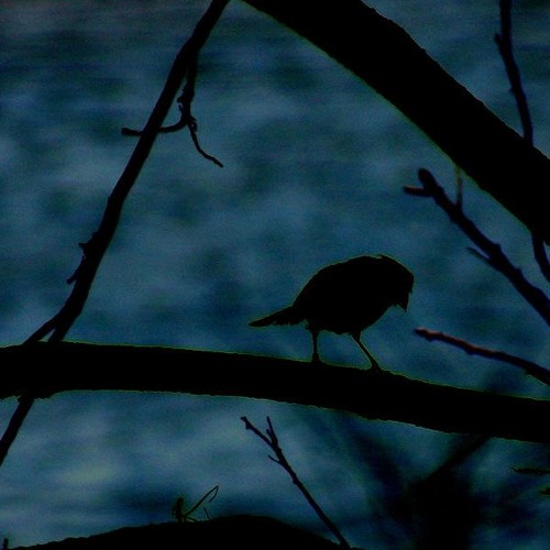 2019 Jazz Compositions