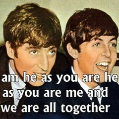 Showcases 2019 au Walrus