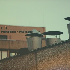 Forteba - pavilon /  Album Teaser