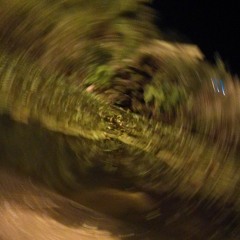 Calabi-yau  (i cani cover)