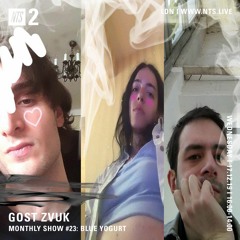 GOST ZVUK x NTS monthly show #23 w/Blue Yogurt