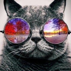 BGMP Remix -- Chunda Munki /  Terrence Parker / Tchami x Janet Jackson / Bag Raiders / Solomun