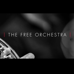 ProjectSAM - The Free Orchestra *Demo Track