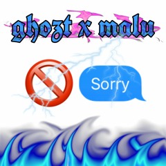 KEIN SORRY X MALU
