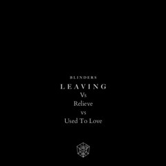 Leaving & Relieve & Used To Love - Martin Garrix & Blinders (Echoer Mashup)