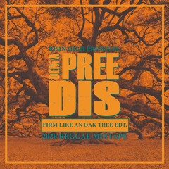 Dem A Pree Dis! Vol. 2 - Firm Like An Oak Tree Edt. // Reggae Mix 2020