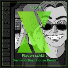 Solor B - Plauen schläft (Xeriwin's Bass House Remix)