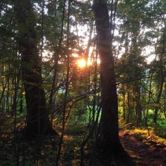 Full när jag är tuff - Mange Hellberg | Cover by Douglas Andersson