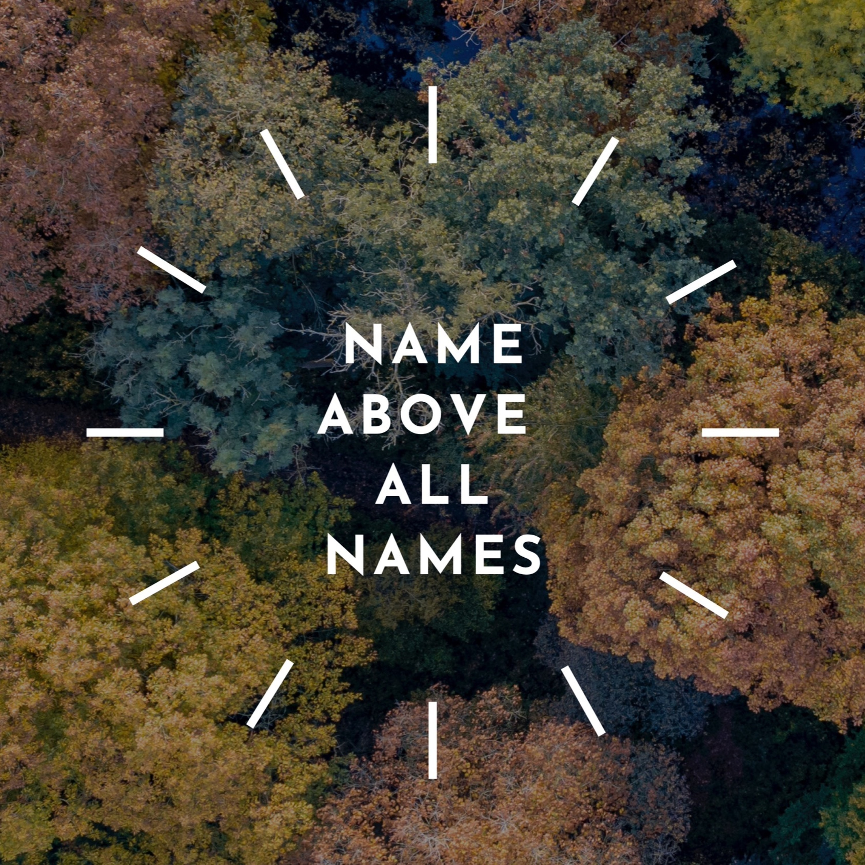 Name Above All Names: An Advent Series in Matthew (Matthew 1:23) episode artwork