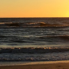 MICKEY MICKEY - J.D.EARLEY