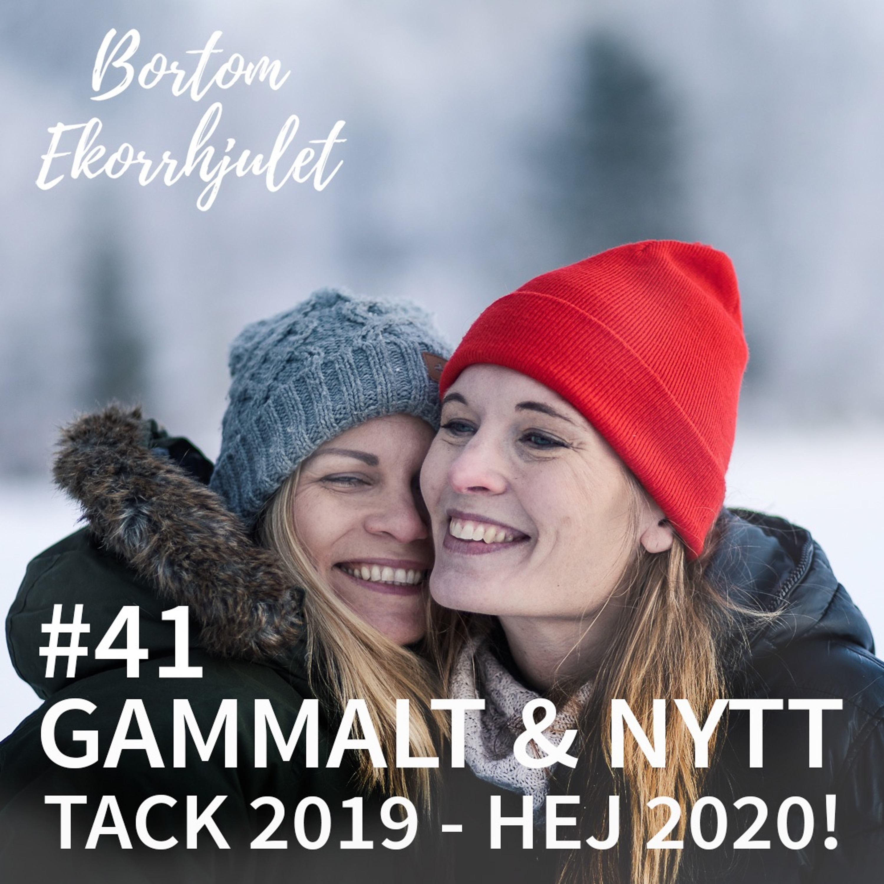 Bortom ekorrhjulet
