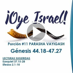 OYE ISRAEL #11 PARASHA VAYIGASH