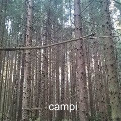 T-Booster - Campi