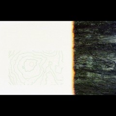 Itteensä osana niellä (san. Veikko Tuomainen)