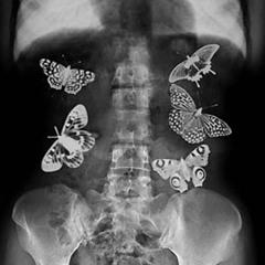 Prova 1**   (unmixed/unmastered)