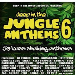 Criminal Sound - Cold Blooded (clip) [Forthcoming Deep In The Jungle]