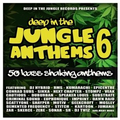 Shayper - Asgard (DEEP IN THE JUNGLE)