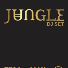 Jungle (DJ Set) Live From Bugged Out! At Printworks London