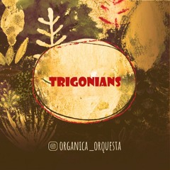 01 - Who Done It - @Orgánica Orquesta