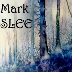 Canopy Sounds 70: NYE with Mark Slee