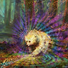 Silent Storm - 2020 New Year Session