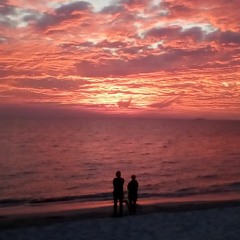 Project 1 (inc.sp.mix)