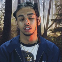 robb bank$ - ask L8tr (slowed + reverb)