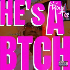 HE'S A BTCH (Missy Elliott She's A Bitch REMIX)