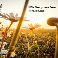 Wild Overgrown Love
