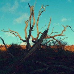 Strike Through The Mask (New Mix)