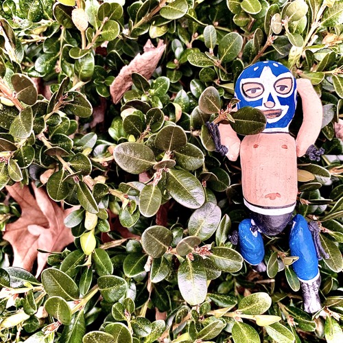 Damu Kāru - Comfortably Dumb (2020 DEMO)