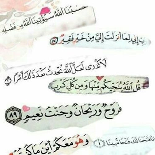 كن عن همومك معرضًا.. محمد المكي وأحمد حسان🔥💙