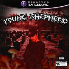 YOUNG SHEPHERD