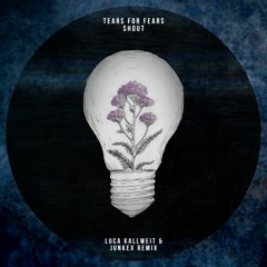 Tears For Fears - Shout (Luca Kallweit & Junkex Remix)