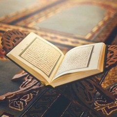 الشيخ محمود عمر سورة الزمر