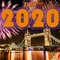 ZILLA - 2020 (AUDIO)