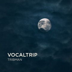 VocaLTrip 37