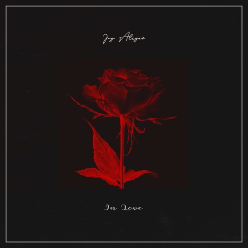 Jay Aliyev - In Love