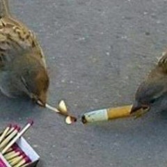 TIK (feat. CodeineDream)