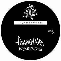 Foamplate - Kingsize / 2020 / All Talk [PLANTPOWER005]