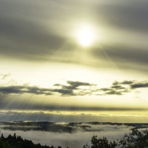Morning Meditation