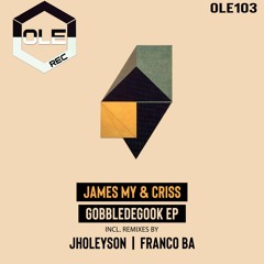 James My & Criss - Gobbledegook (Jholeyson Remix) Snippet