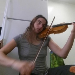 The Arkansas Traveler