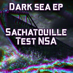 Sachatouille - Test NSA