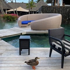 Cool Mix @ Belle Mare Plage, Dec 2019